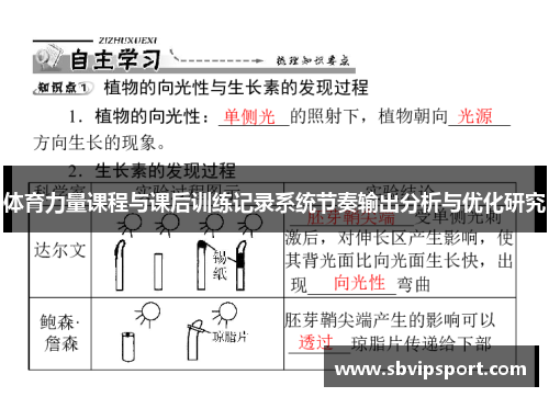 体育力量课程与课后训练记录系统节奏输出分析与优化研究