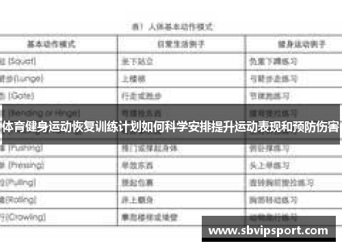 体育健身运动恢复训练计划如何科学安排提升运动表现和预防伤害